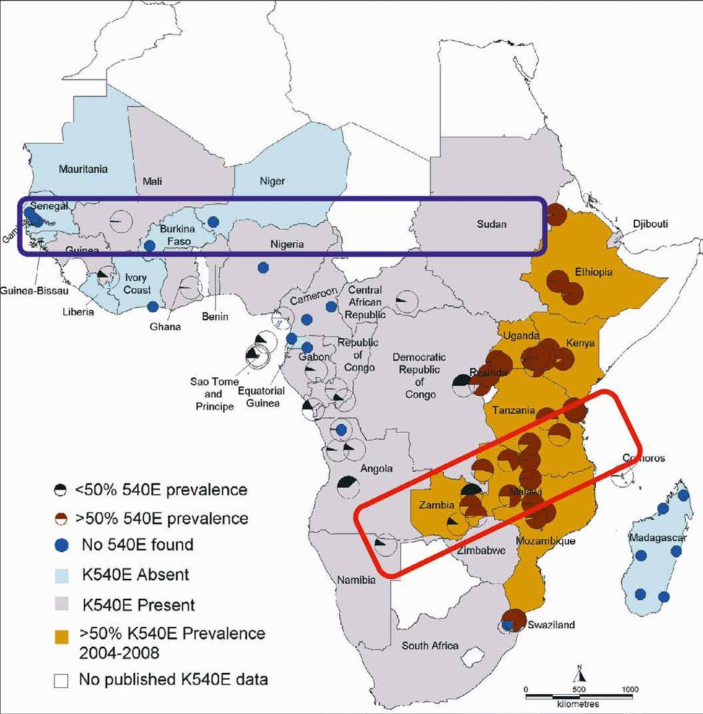 ANNEXES Annex 1. distribution of resistance to sulfadoxine pyrimethamine in sub-saharan Africa Legend: Areas suitable for SMC (low prevalence of K540E mutation).