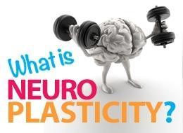 Neuro-Plasticity Reveals a Chemistry of Habit Neuro-plasticity refers to the brain s ability to change Research shows that we are never too old to change,