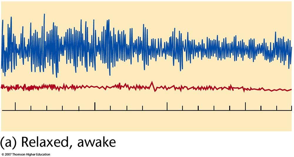 Alpha waves are present when one begins a state of relaxation.