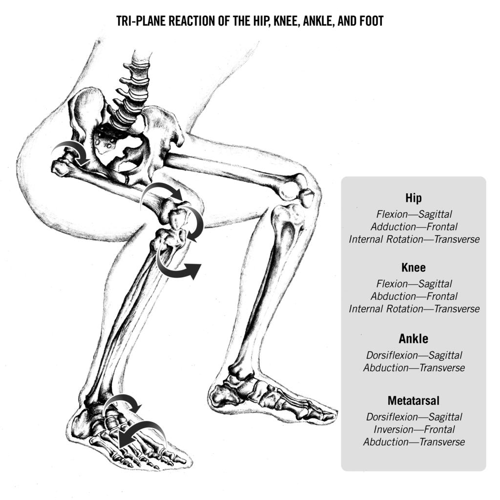 As you can see, all joints move in three planes of motion. This is the roadmap to keep in mind as you observe a person s gait or during a motion analysis.