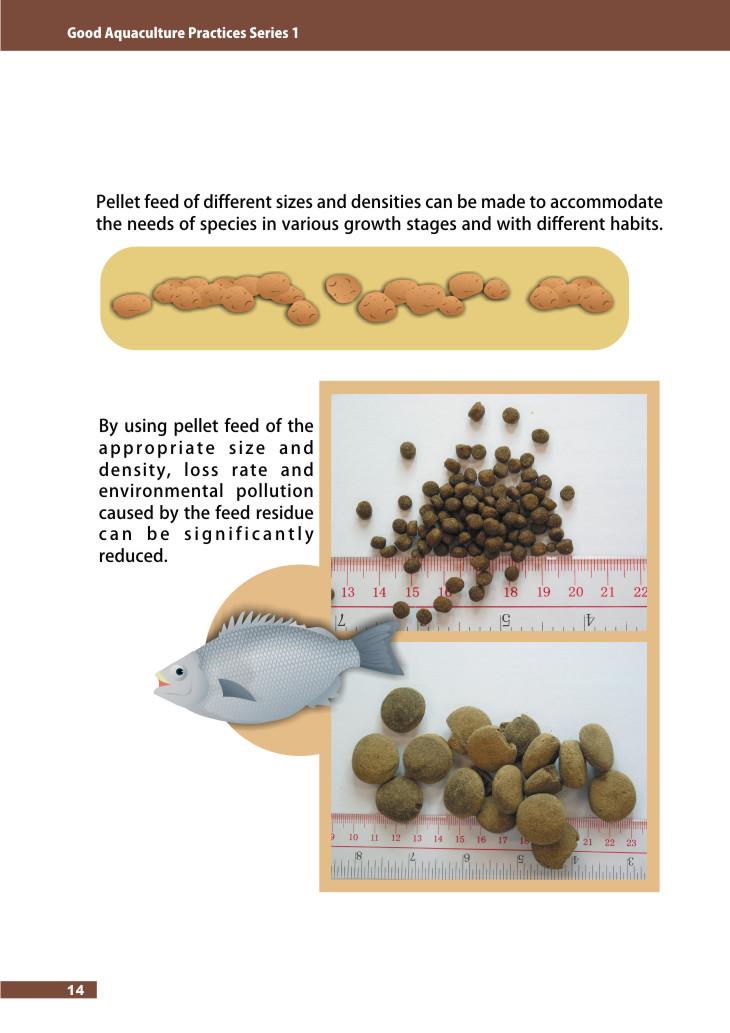 Pellet feed of different sizes and densities can be made to accommodate the needs of species in various growth stages and with different habits.
