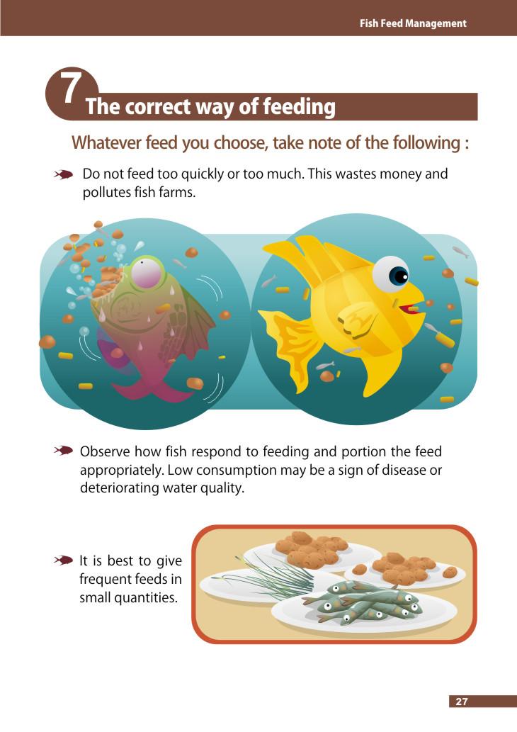 Whatever feed you choose, take note of the following : 00 not feed too quickly or too much. This wastes money and pollutes fish farms.