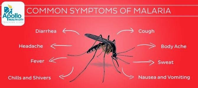 Diagnosis and Symptoms of Malaria Malaria has many symptoms and most of the time is systemic. A shown in figure 3, malaria can cause chills, fever, headache, shivering, increasing heart rate (CDC).