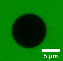 94 The FRAP-measurement shown in figure S25 shows that the GUV content can be bleached by the LASER without recovery confirming that the GUVs are not leaky.