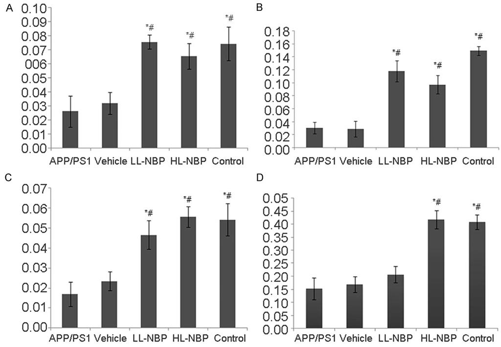 Effects of the treatment with L-NBP on the BDNF/TrkB/PI3K/AKT transcript levels.