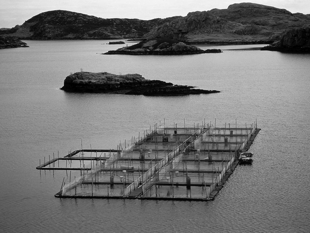 20 6 (c) Figure 10 shows a fish farm. Figure 10 In a fish farm, large numbers of fish are grown in cages in the sea.