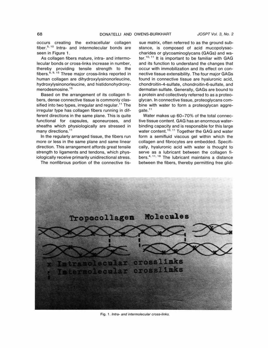 68 DONATELLI AND OWENS-BURKHART JOSPT Vol. 3, NO. 2 Copyright 1981. All rights reserved. occurs creating the extracellular collagen fiber.5. " Intra- and intermolecular bonds are seen in Figure 1.