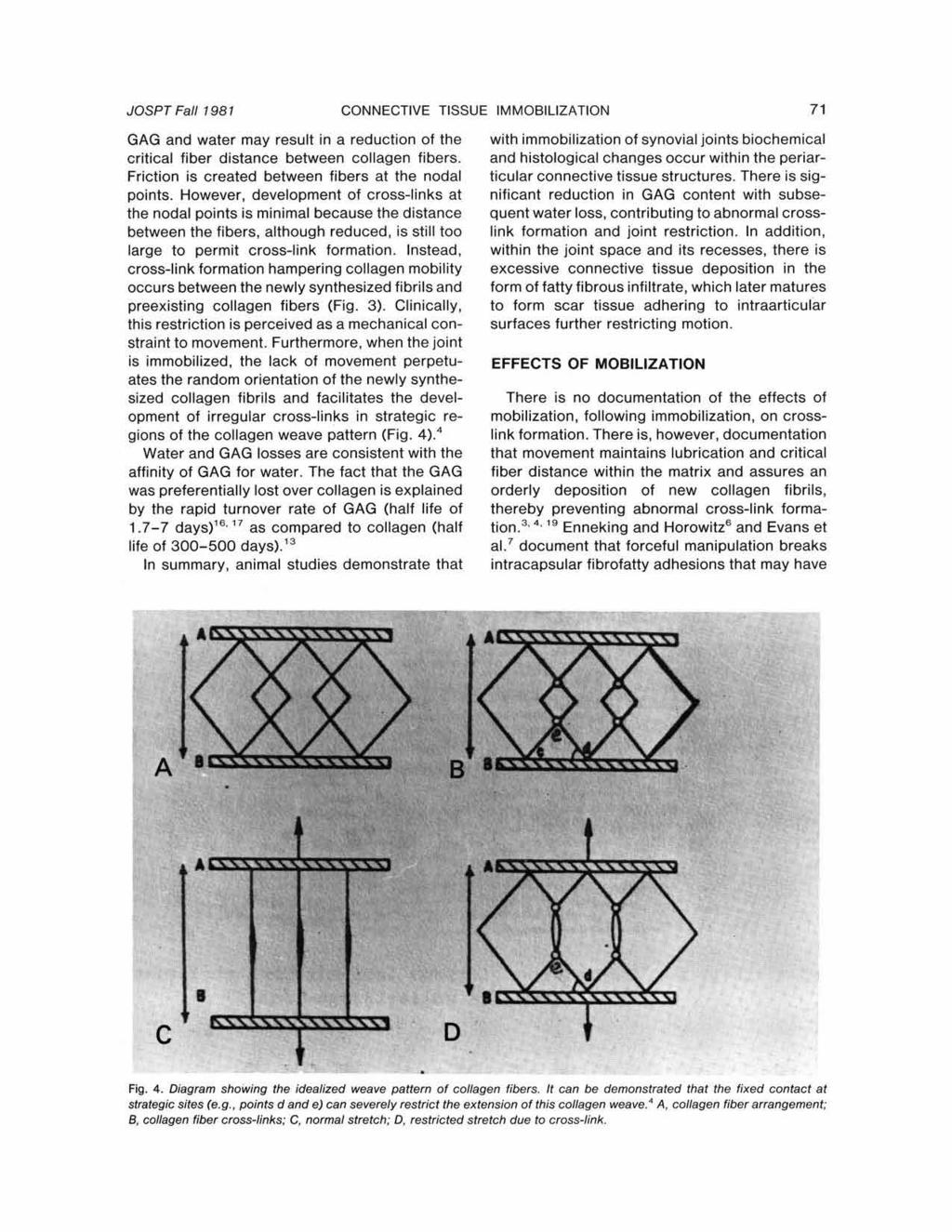 JOSPT Fall 198 1 CONNECTIVE TISSUE IMMOBILIZATION 71 Copyright 1981. All rights reserved. GAG and water may result in a reduction of the critical fiber distance between collagen fibers.