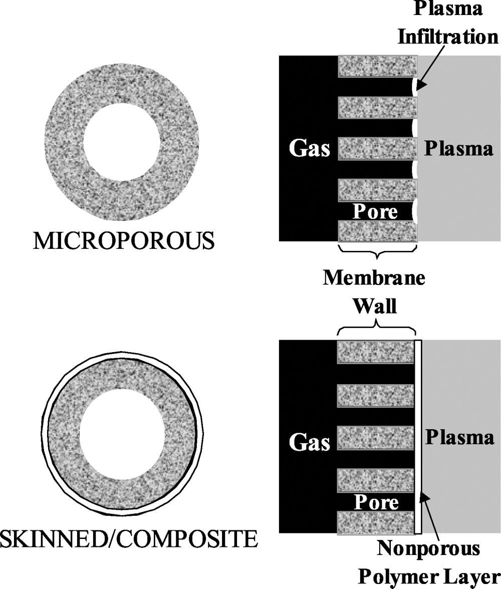 492 EASH ET AL. Figure 2. Gas-gas permeance schematic. Figure 1. Nonporous polymer layers blocking plasma infiltration.