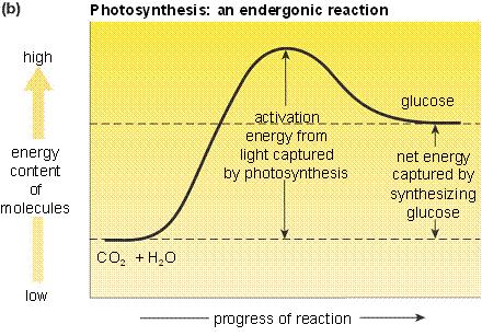 An endergonic reaction requires energy.