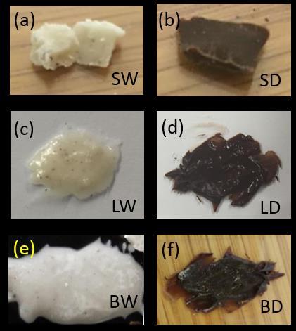 Figure. Photographs of white and dark chocolate: (a) solid white (SW), (b) solid dark (SD), (c) liquid white (LW), (d) liquid dark (LD), (e) bloomed white (BW), and (f) bloomed dark (BD).