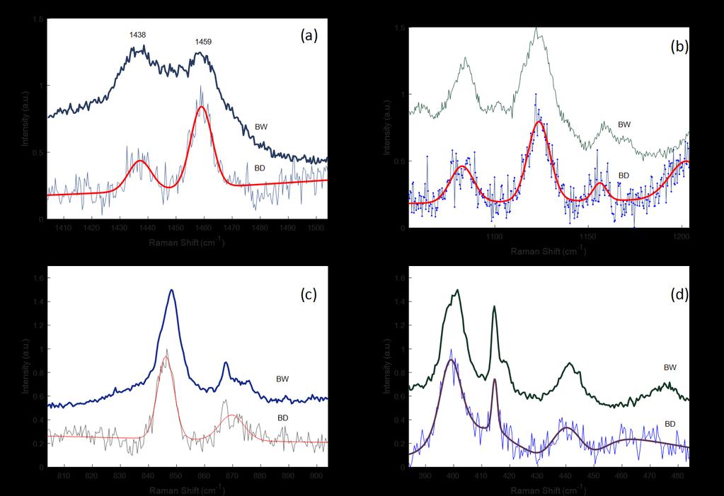 Figure 3. Raman spectra of bloomed dark (BD) and bloomed white (BW) chocolate in the (a) 400-500 cm, (b) 050-00 cm, (c) 800 900 cm, and (d) 380-480 cm ranges. References. Seguine, Edward.