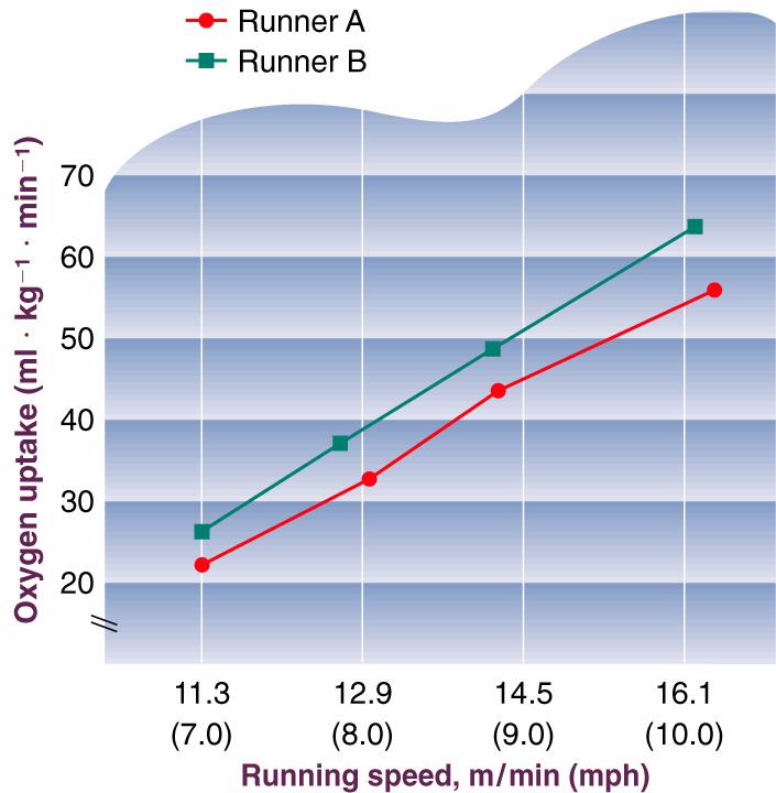 Economy of Two Runners Cycling: Seat height Pedal cadence