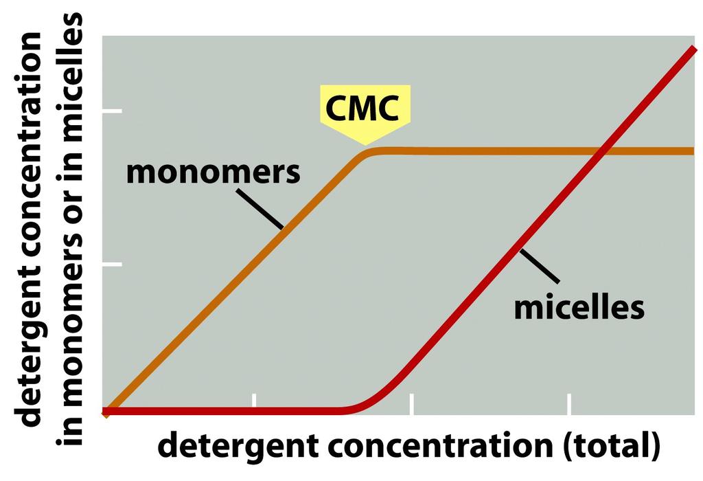 As their concentration is increased beyond the critical micelle concentration (CMC), some of the detergent molecules form