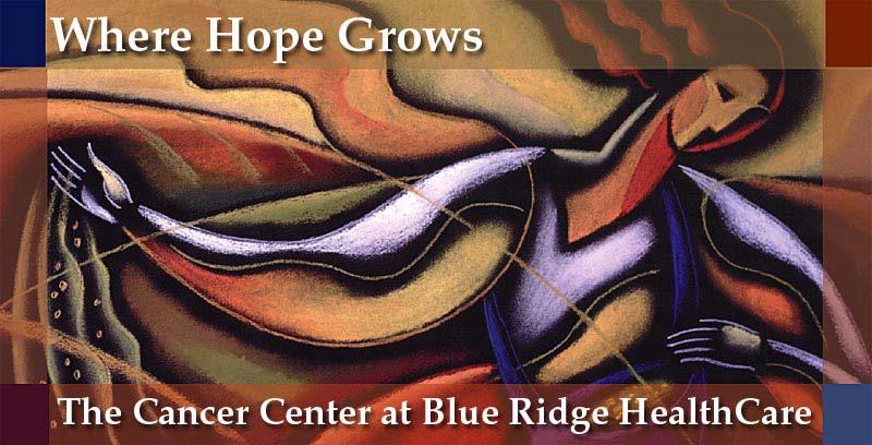 Blue Ridge Healthcare Cancer Center, NC Story circles at cancer center Created Voice of Light DVD Survivorship