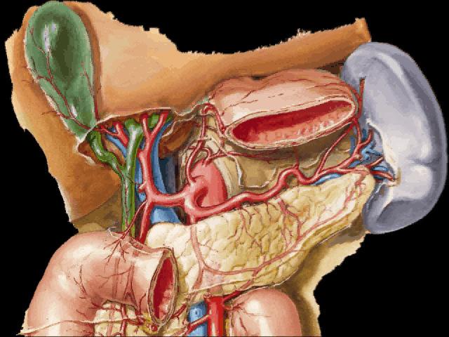 Artery Stenosis