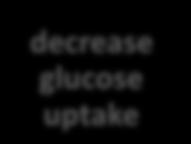 gluconeo genisis increase formatio n of RNA,