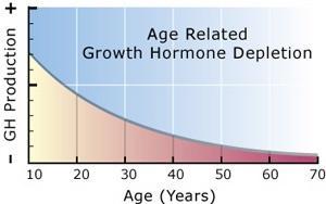 GH secretion accelerates aging features The aging effects of GH deficiency: decreased protein deposition (decreased lean body mass) increased fat