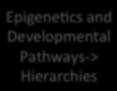 Gene2c Diversity Epigene2cs and