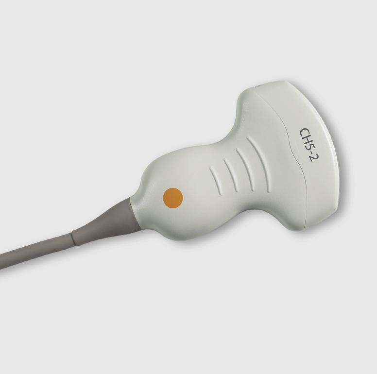 P4-2 Transducer Part Number: 08648045 2 4 MHz 2.0*, 2.5, 2.9*, 3.1, 3.6 MHz 1.3*, 1.5, 1.8, 2.5* MHz Selectable Color Doppler Frequencies: 2.0, 2.7 MHz Selectable PW Doppler Frequencies: 2.0, 2.5*, 2.