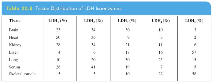 The enzyme lactate dehydrogenase (LDH) has a quaternary structure that consists of four subunits of two different types: H main subunit found in heart muscle cells.