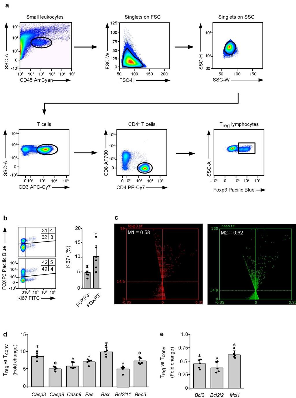 Supplementary Figure 1 Expression of apoptosis-related genes in tumor T reg cells. (a) Identification of FOXP3 T reg cells by FACS.