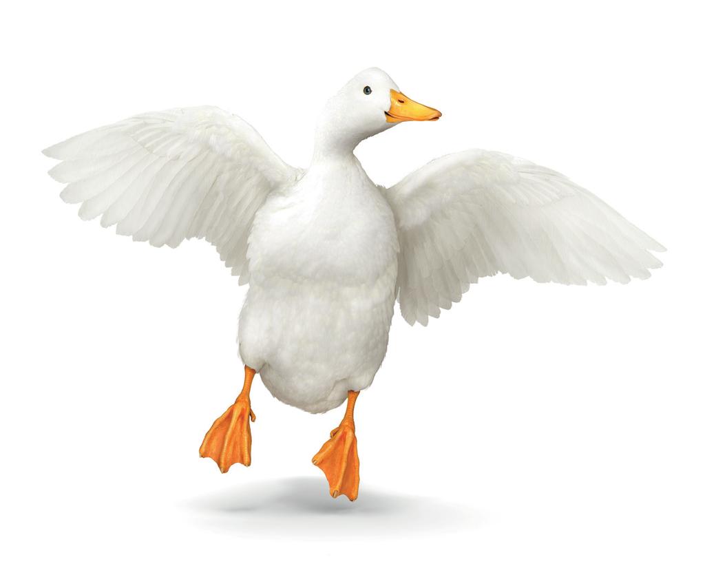 AFLAC GROUP CRITICAL ILLNESS ADVANTAGE CI G Aflac can help ease the financial stress of surviving a critical illness. Chances are you may know someone who s been diagnosed with a critical illness.