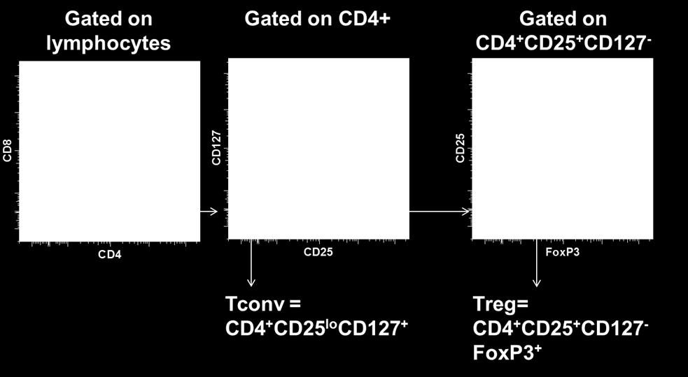 Definition and Gating Strategy of Tconvs and Tregs In our studies, Tconvs are defined as CD4 + CD25 lo CD127 + human T cells; Tregs are defined as CD4 + CD25 + CD127 lo human T cells (Figure 2)