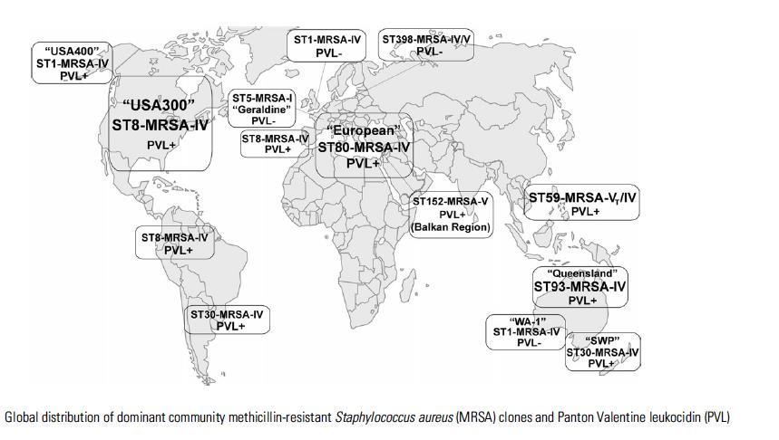 CA-MRSA A Global Public Health Problem