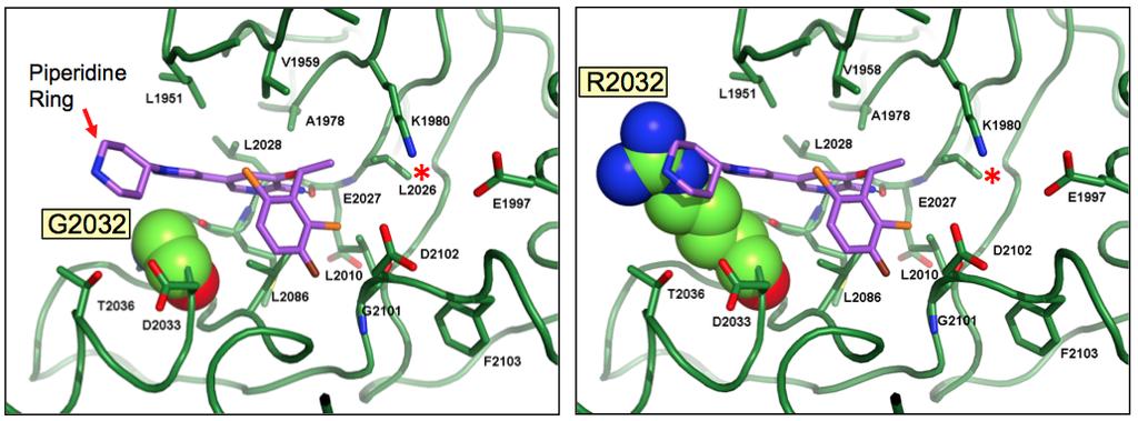 Structural Basis for ROS1 G2032R-Mediated Resistance