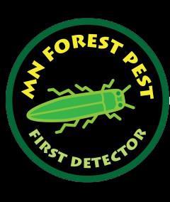 Minnesota s Forest Pest First Detector