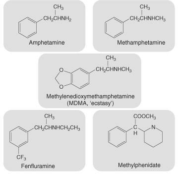 Sympathomimetics Adrenergic System - Agonists Indirect Sympathicomimetics : Amphetamines Displace norepinephrine in storage vesicle