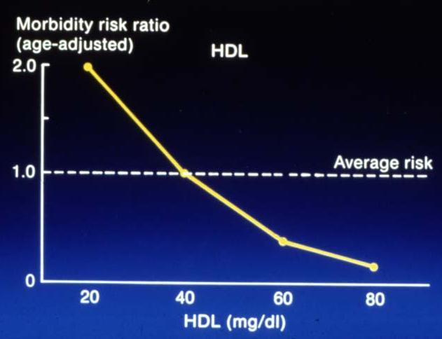 The Bad and the Good Cholesterol ApoB ApoAI LDL HDL Can HDL become