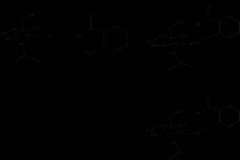 Figure 1.11: A general reaction scheme for reductive amination using the reducing end GlcNAc and 2-aminobenzoic acid (2-AA).