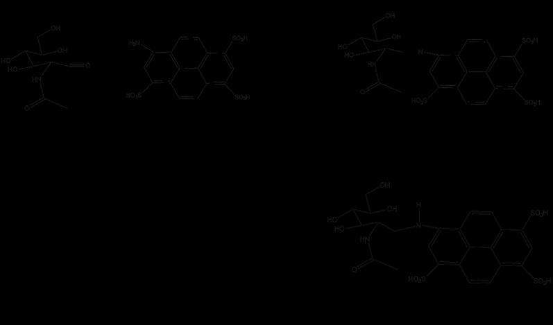 Figure 2.3: A reaction scheme depicting derivatization with primary amine dyes.
