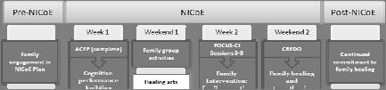 NICOE - Model of Care Copyright