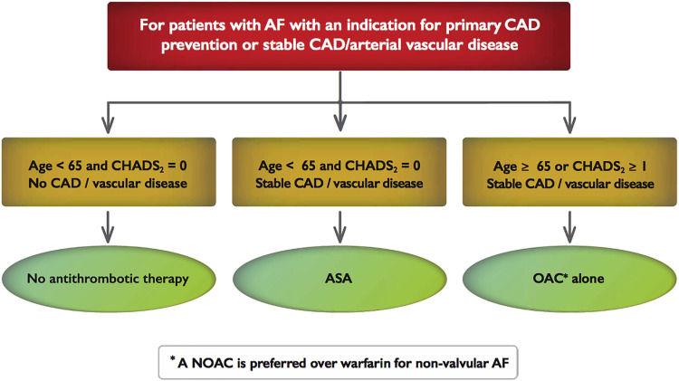 CCS: AF with Stable CAD/