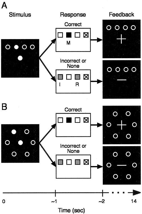 Eliassen et al. Visual Motor Associative Learning J. Neurosci., November 19, 2003 23(33):10540 10547 10541 engaged during error processing (Carter et al.