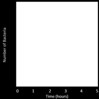 Therefore, population size doubles every 30 minutes. 7a. Complete this table to show how many bacteria there will be at each time if the number of bacteria doubles every 30 minutes. Time 0 min. 1 hr.