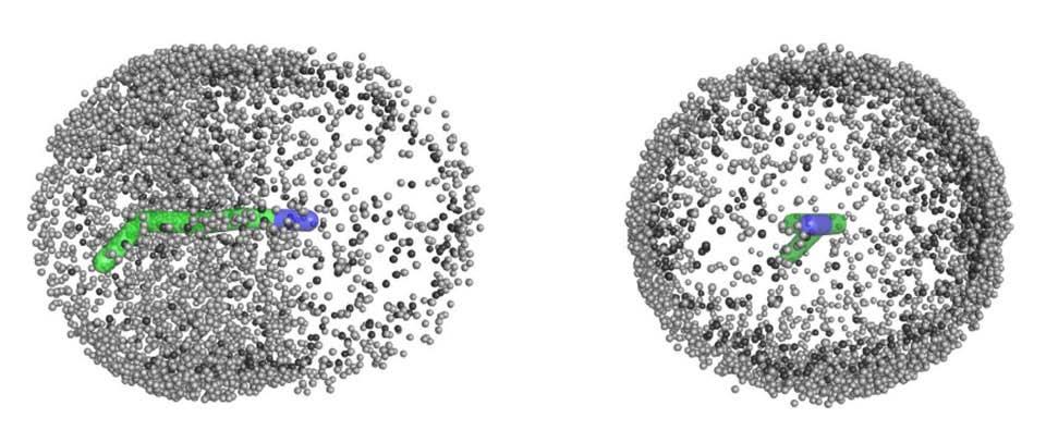 Figure S4: Distribution of Phe side chain carbon atoms around the side chain of Lys viewed from the side (left) and front (right).