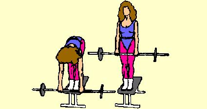 4) Stiff Legged Barbell Dead Lift off Bench Lower Back and Leg Biceps Place barbell on end of bench. Stand on bench. Bend at waist, head up, back straight, knees locked.