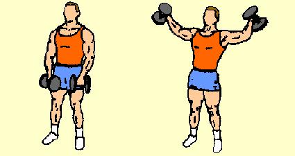 8) Standing Side Lateral Raise Front and Outer Deltoids With your feet about 16" apart and dumbbells at arm's length, palms facing in toward the thighs.