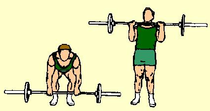 Step back with arms straight out, creating tension on cables. Pull arms back toward outside of shoulders. Keep arms parallel to floor, elbows locked.