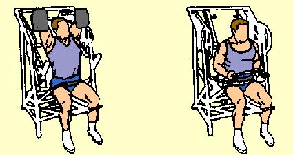 Strap into machine if required. Place elbows on pads behind head. Either hold left wrist with right hand or place hands on bar provided farther behind head. Keep all pressure on elbows.