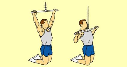 Kneel down far enough to support weights with arms extended overhead. Pull bar straight down until even with upper chest.