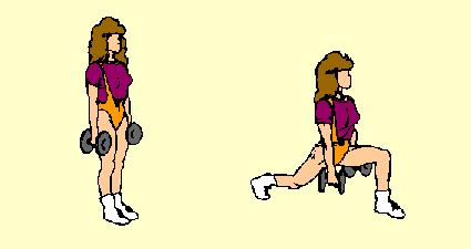 12) Dumbbell Front Lunge Thighs and Hamstrings Hold dumbbells at arms' length, palms in. Head up, back straight, feet about 6" apart.