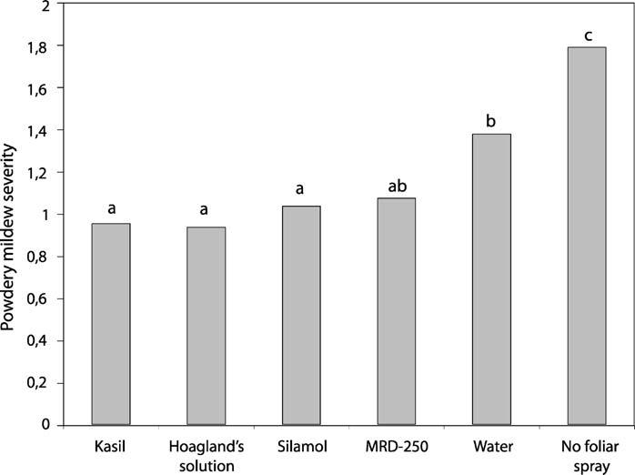 Fig. 2 Severity of powdery mildew, caused by Blumeria graminis f. sp tritici on wheat plants fed with different silicon-based solutions amended to the soil.