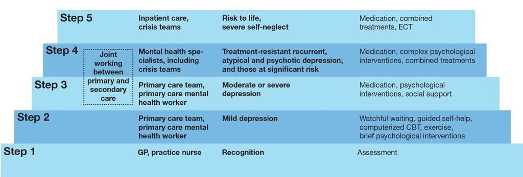 Appendix B: Stepped Care Model A stepped care framework for depression care pathways was developed in the United Kingdom by National Health Service (NHS) to match the needs of individuals with