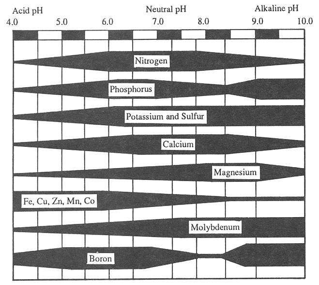 Nutrient Availability ~ 98% of the nutrients used by plants are taken up from the soil