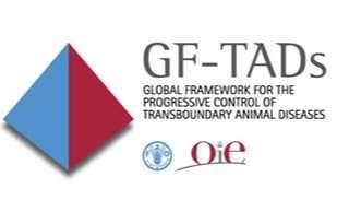 Recommendations of the meeting Considering: - The adoption of the FAO-OIE Global Strategy for the control of FMD (Bangkok, June 2012) with its 3 inter-related Components respectively on the control